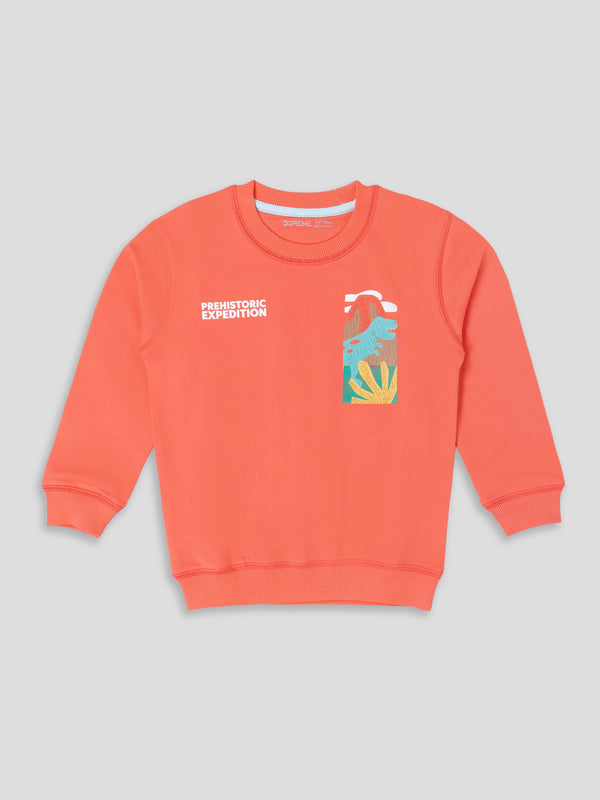 Baby Boy's Terra Sweatshirt - Expedition Coral