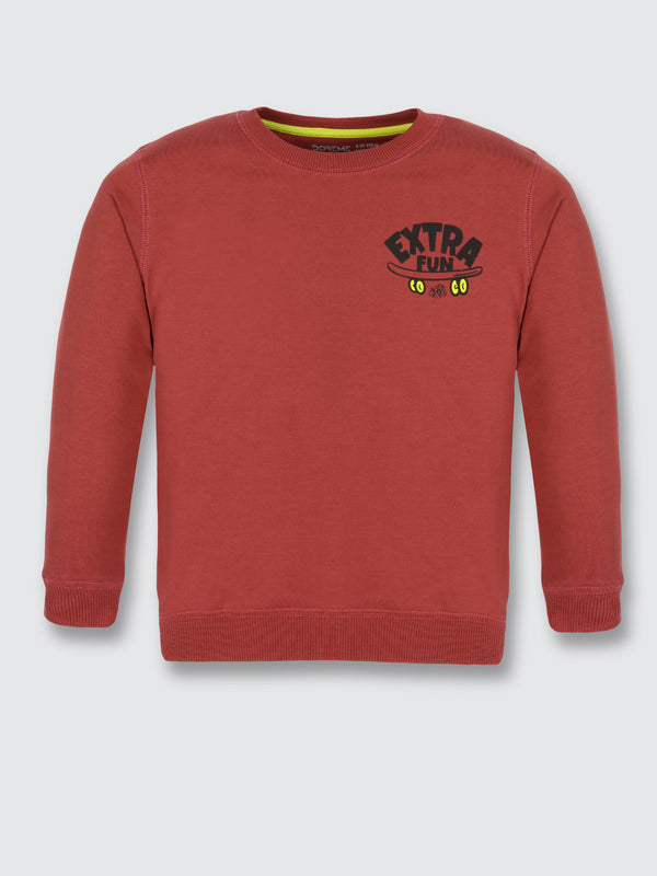 Boys  Sweatshirt - Iron Rust