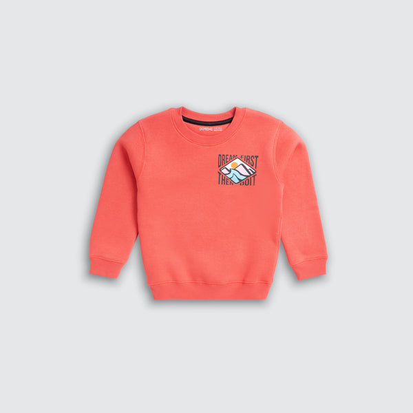 Boys Printed Sweatshirt - Reddish