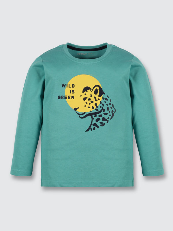 Baby Boys Long Sleeve T-Shirt - Greanish Blue