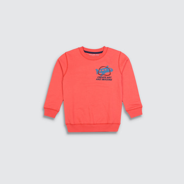 Baby Boys Terry Printed Sweatshirt - Reddish