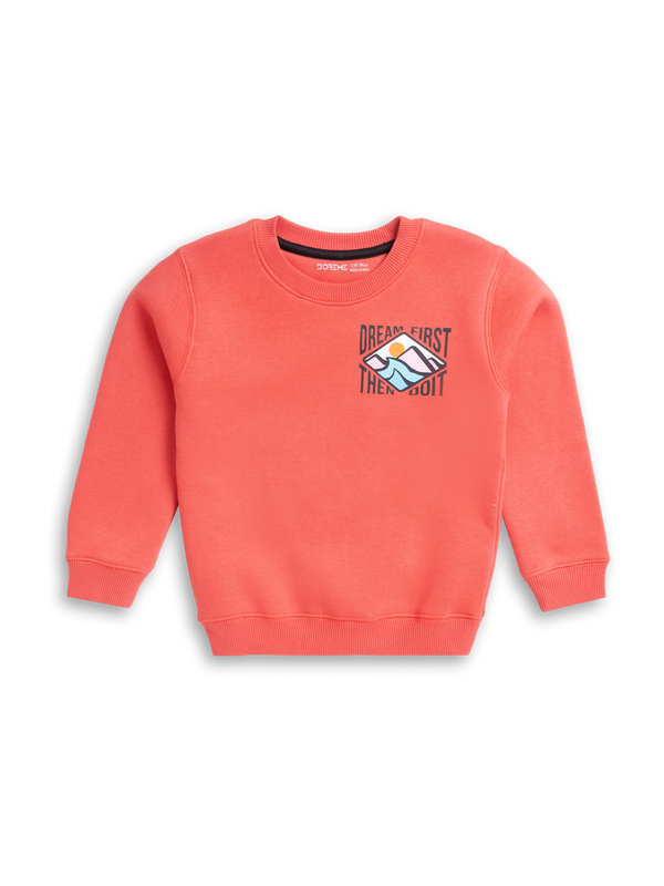 Boys Printed Sweatshirt - Reddish