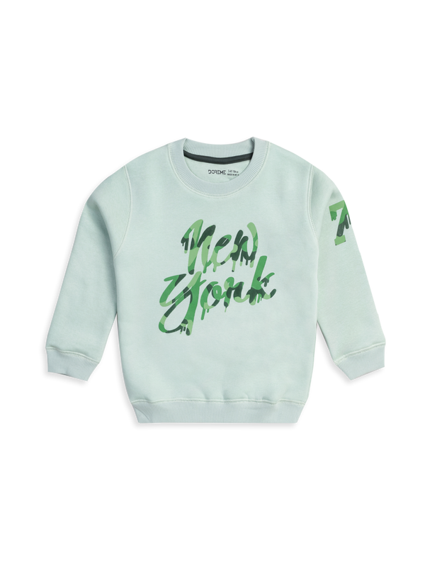 Baby Boys Printed Sweatshirt - Fall Green